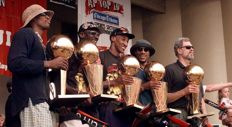 bulls
