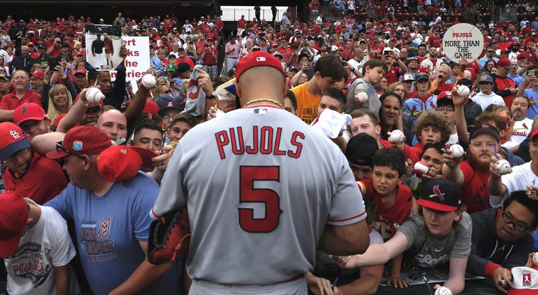 Albert Pujols St. Louis Cardinals
