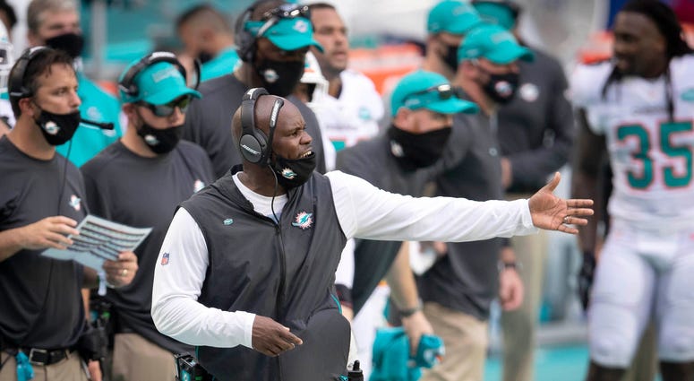 Brian Flores Dolphins