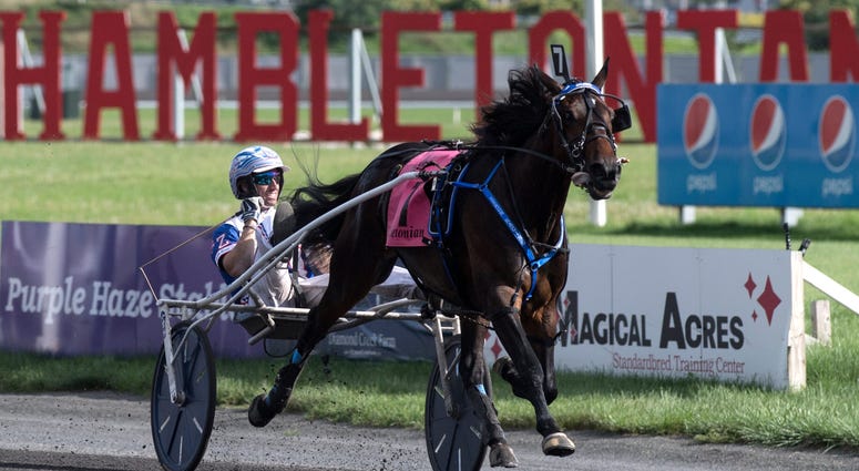 Hambletonian