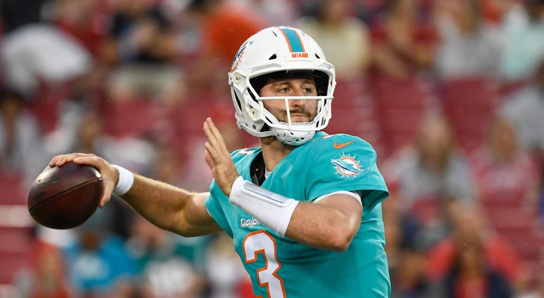 Josh Rosen Dolphins