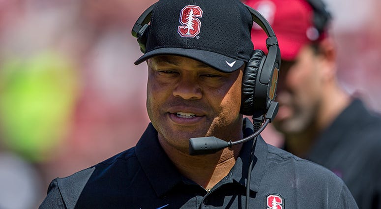 David Shaw
