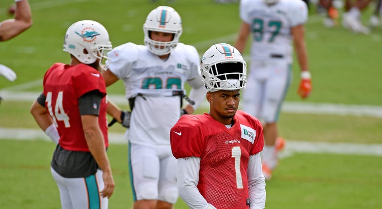 Tua Dolphins