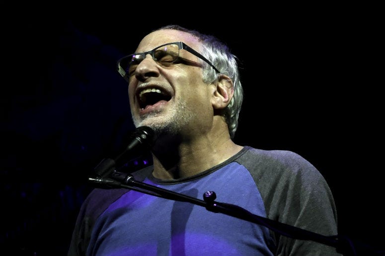 Steely Dan singer Donald Fagen performs at the Perfect Vodka Amphitheater. Steely Dan singer Donald Fagen performs at the Perfect Vodka Amphitheater.