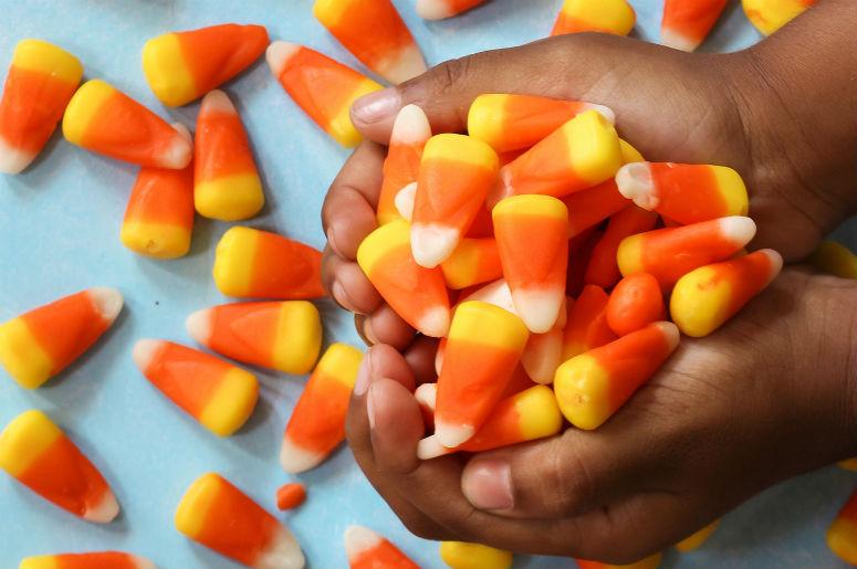 candy corn candy corn