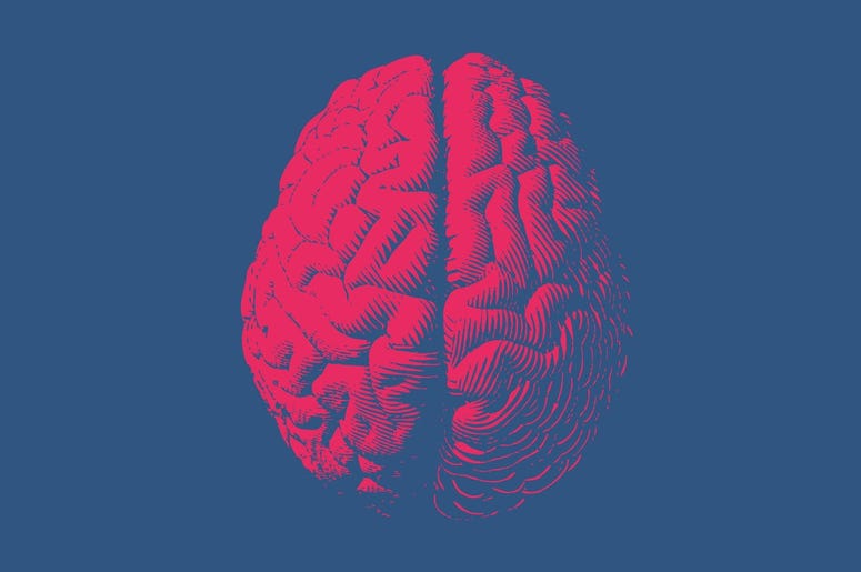 Monochrome drawing brain vintage style Monochrome drawing brain vintage style