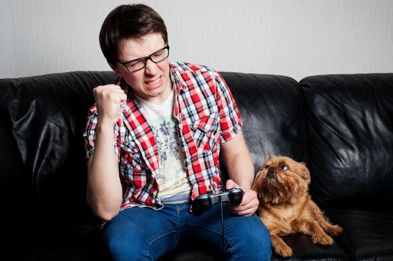 Video Game Dog Video Game Dog