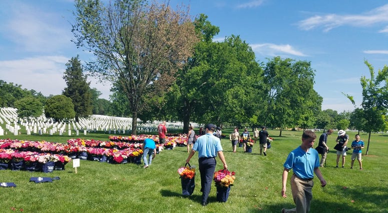 The Memorial Day Flower Foundation brings blooms to Arlington National Cemetery graves. MemorialDayFlowers