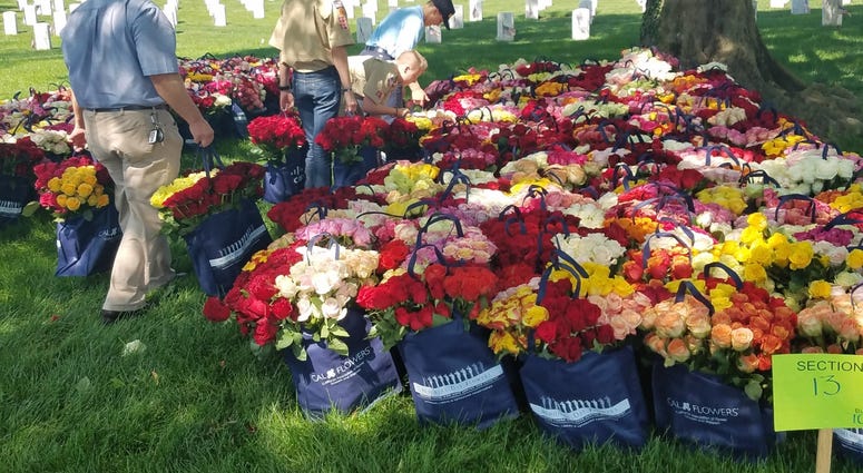 The Memorial Day Flower Foundation brings blooms to Arlington National Cemetery graves. MemorialDayFlowers