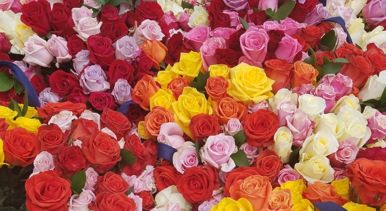 The Memorial Flowers Foundation brings blooms to Arlington National Cemetery graves. MemorialDayFlowers