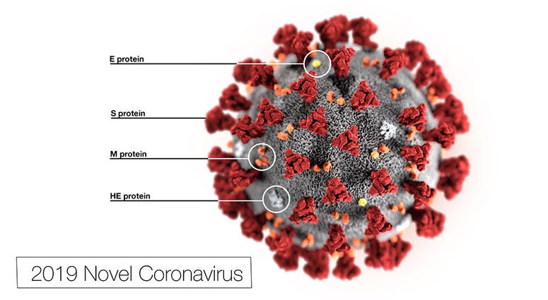 Coronavirus, COVID-19 Coronavirus