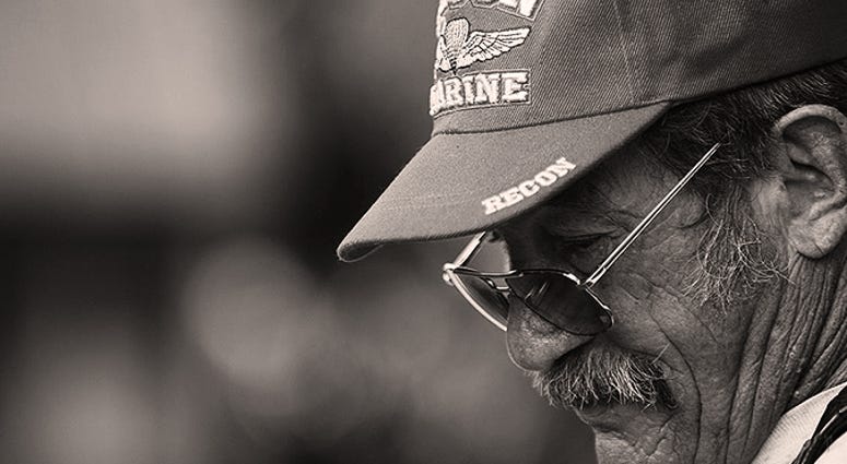 Vietnam Veteran