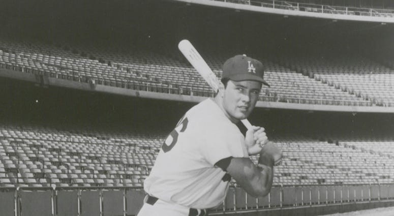 Dodger