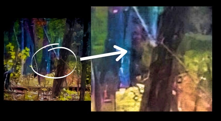 Billy Humphrey's photo of what some believe is Bigfoot Billy Humphrey's photo of what some believe is Bigfoot