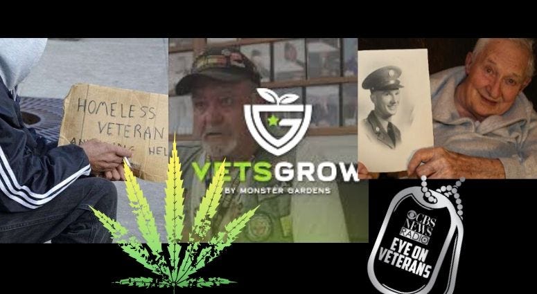 National Alliance to End Homeless Veterans History Project and VetsGrow marijuana documentary National Alliance to End Homeless Veterans History Project and VetsGrow marijuana documentary
