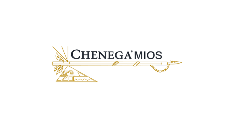 Chenga Logo