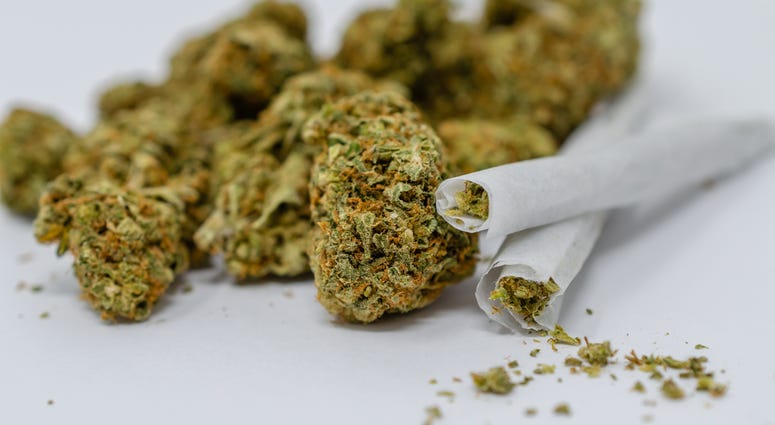 Marijuana Marijuana
