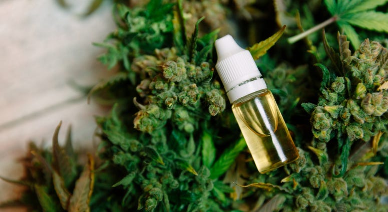 Medicinal cannabis with extract oil in a bottle MedicalMarijuana