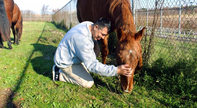 Elliott and horse
