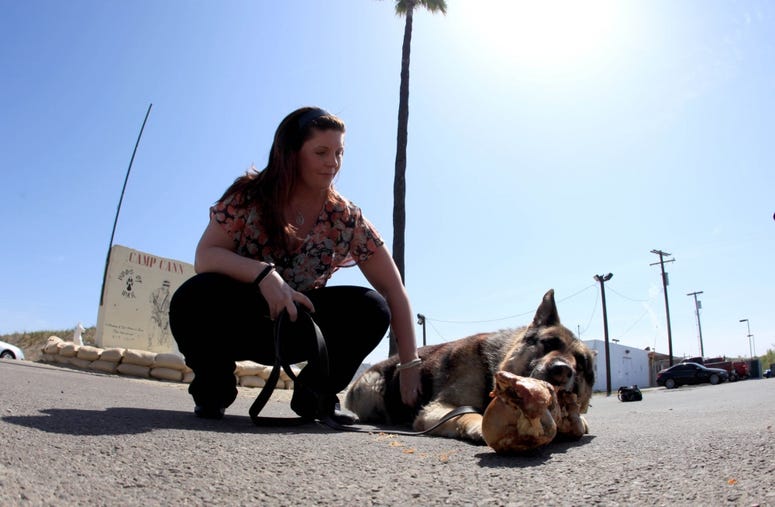 Megan Leavey, Rex