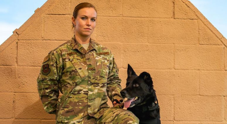 Dog and handler
