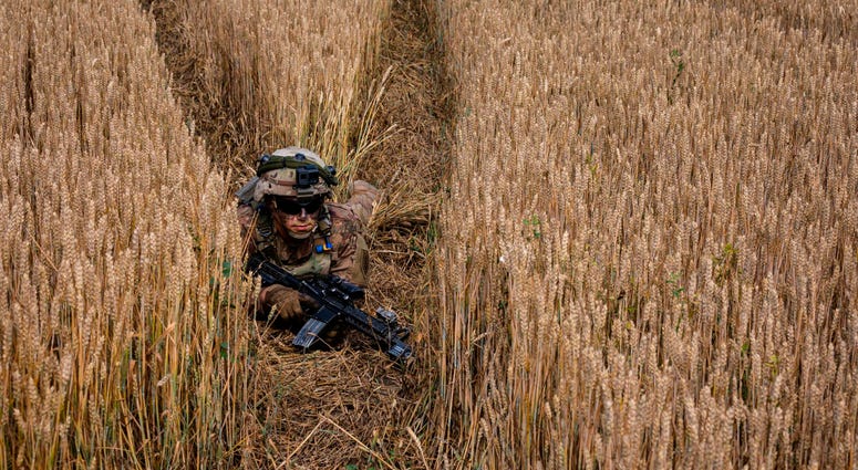 Infantry trains in Romania