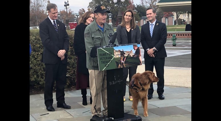 Former Army Spc. Walter Parker and his service dog Jackson on Capitol Hill Nov. 19, 2019 to promote a bill that would create a VA program to help veterans with PTSD get service dogs. ServiceDog