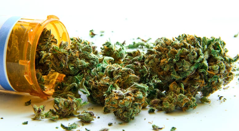 Medical cannabis pours out of a prescription bottle.