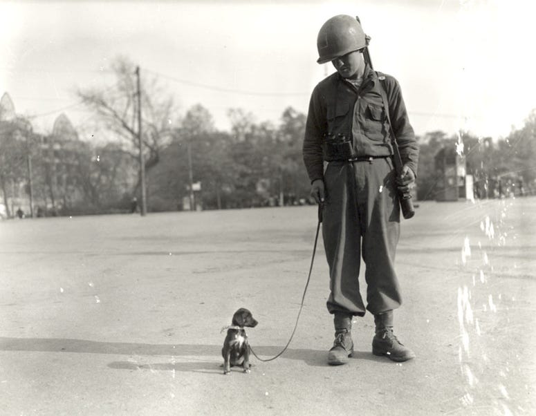 Army Pfc. Raymond Gasiorowski takes Leipzig, his company's pet puppy, for a walk