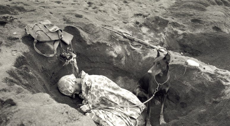 Pfc. Rez P. Hester of the Marine Corps Seventh War Dog Platoon on Iwo Jima takes a nap while Butch stands guard. February 1945.