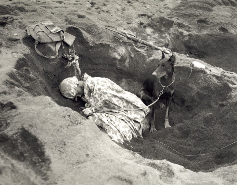 Pfc. Rez P. Hester of the Marine Corps Seventh War Dog Platoon on Iwo Jima takes a nap while Butch stands guard. February 1945