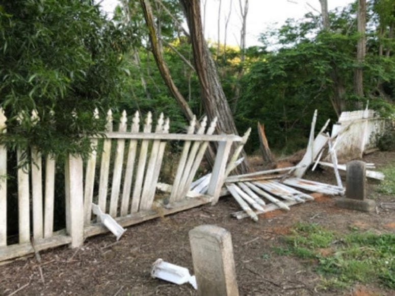 A tree protrudes a broken fence on the Mare Island Naval Cemetery