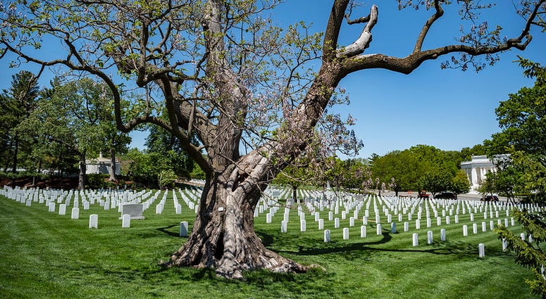 Arlington National Cemetery