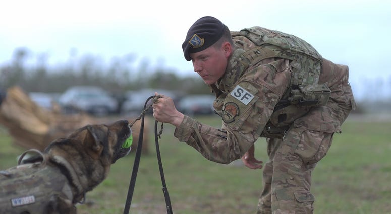 Pup and handler