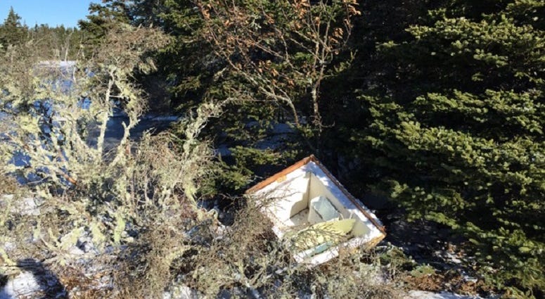 A piece of the Liberty wreckage is seen nestled among trees following a severe winter storm.