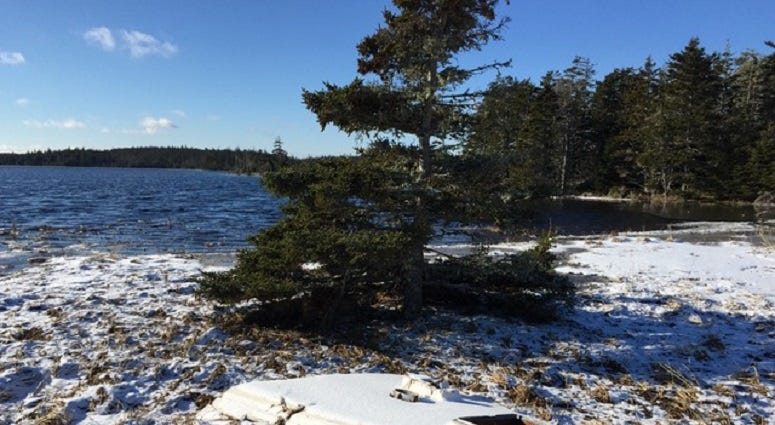 Following a severe winter storm, the wreck of the Liberty was decimated, leaving debris over a quarter-mile stretch of Cape Breton Island's east coast.