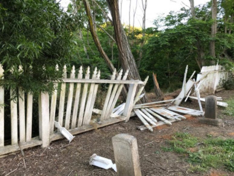 A tree protrudes a broken fence on the Mare Island Naval Cemetery