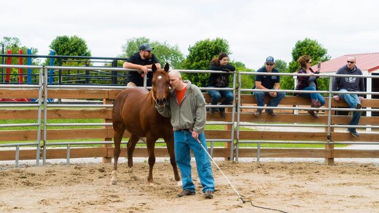 War Horses for Veterans is an equine therapy/horsemanship focused non-profit based in Stillwell, KS.