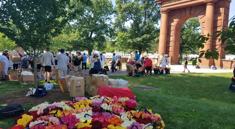 The Memorial Day Flower Foundation brings blooms to each grave at Arlington National Cemetery. MemorialDayFlowers