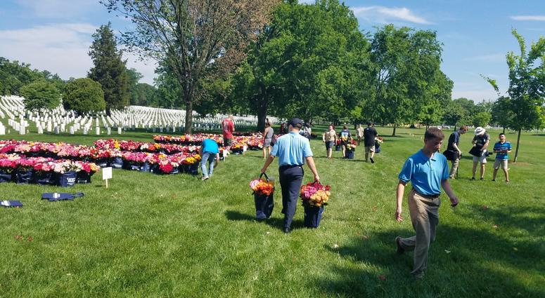 The Memorial Day Flower Foundation brings blooms to Arlington National Cemetery graves. MemorialDayFlowers