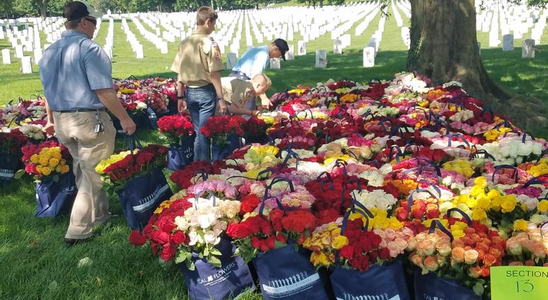 The Memorial Day Flower Foundation brings blooms to Arlington National Cemetery graves. MemorialDayFlowers
