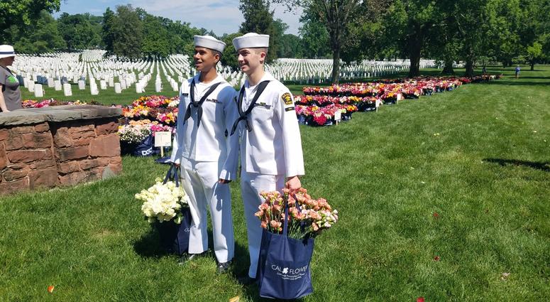 The Memorial Day Flower Foundation brings blooms to Arlington National Cemetery graves. MemorialDayFlowers