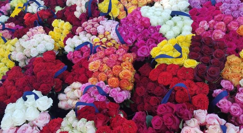 The Memorial Day Flower Foundation brings blooms to each grave at Arlington National Cemetery. MemorialDayFlowers