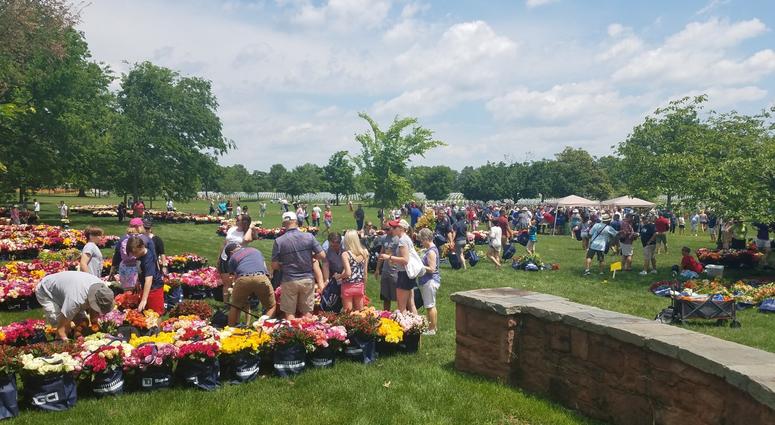 The Memorial Day Flower Foundation brings blooms to Arlington National Cemetery graves. MemorialDayFlowers
