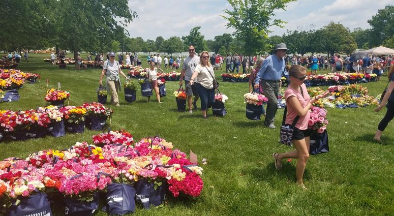 The Memorial Day Flower Foundation brings blooms to Arlington National Cemetery graves. MemorialDayFlowers