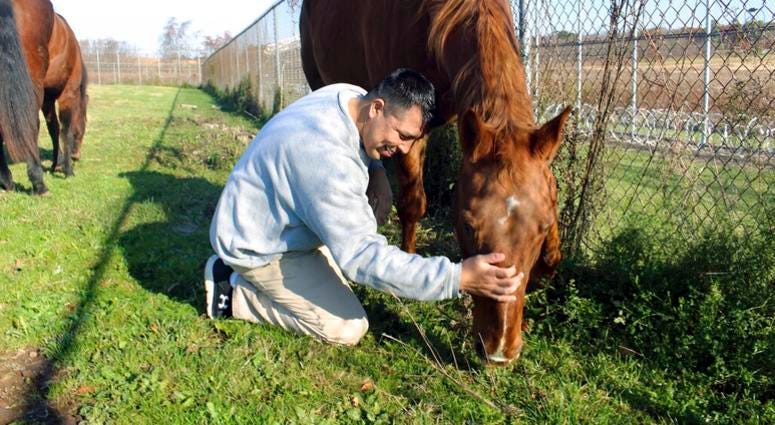 Elliott and horse