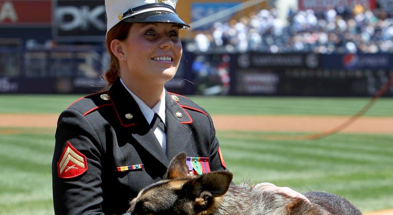 In a May 13, 2012 file photo, former Marine Cpl. and Purple Heart recipient Megan Leavey and combat dog Sgt. Rex participate in a ceremony before a baseball game between the New York Yankees and the Seattle Mariners at Yankee Stadium in New York.