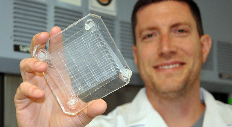 Potkay’s artificial lung model relies on microfabrication, the recreation of tiny structures, to achieve highly efficient gas exchange and blood paths similar to those in a human lung