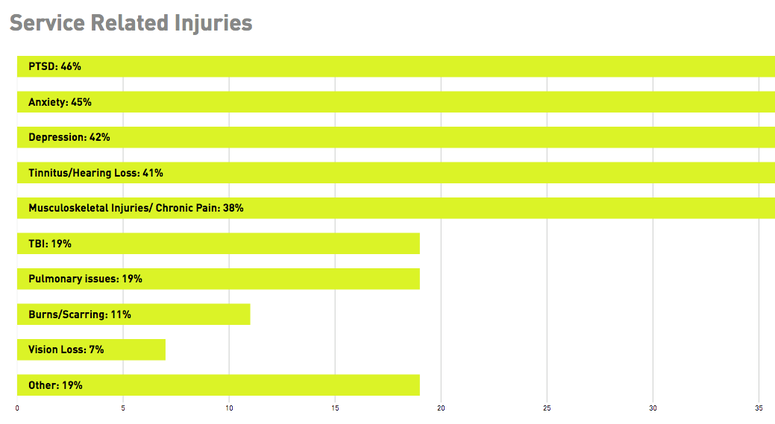 Results from the 2017 IAVA survey