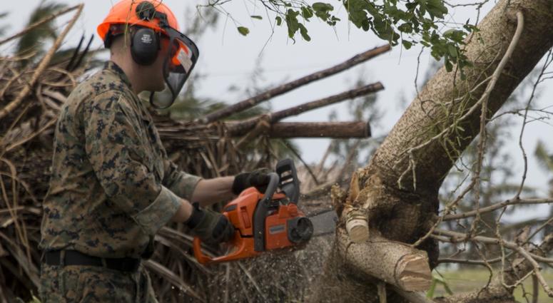 Typhoon assistance
